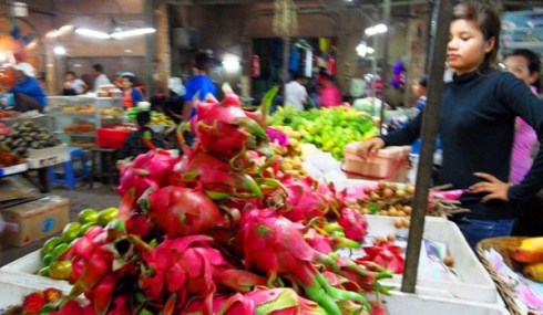 Bright pink dragon fruit in the market