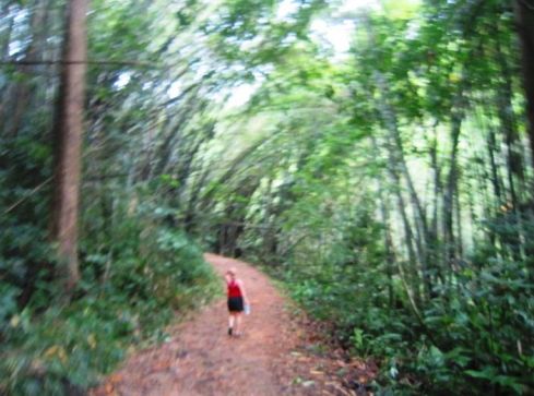 Color photo of Author Walking through the forest in Thailand