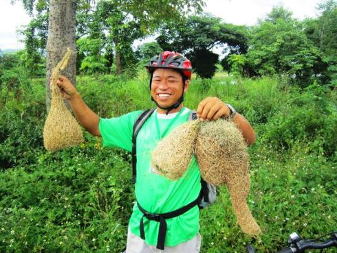 Color photo of guide holding-up the birds nests