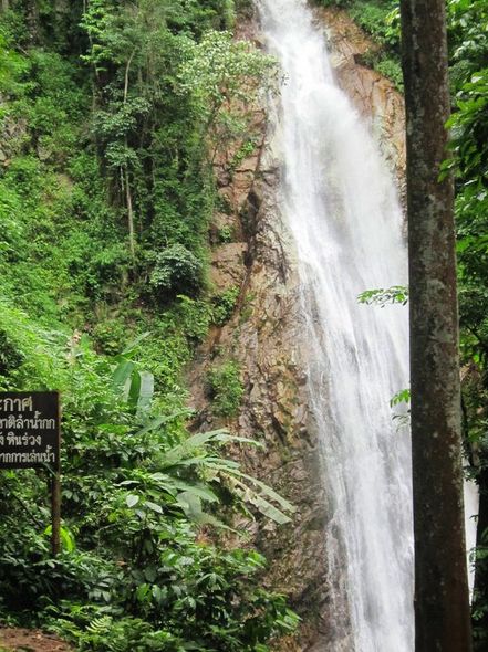color photo of waterfall
