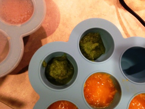 Baby Food ready for freezer