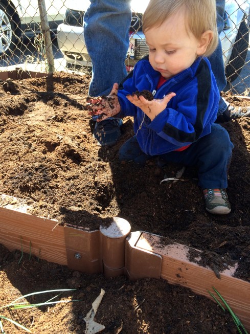 Discovering Spring and the Earth